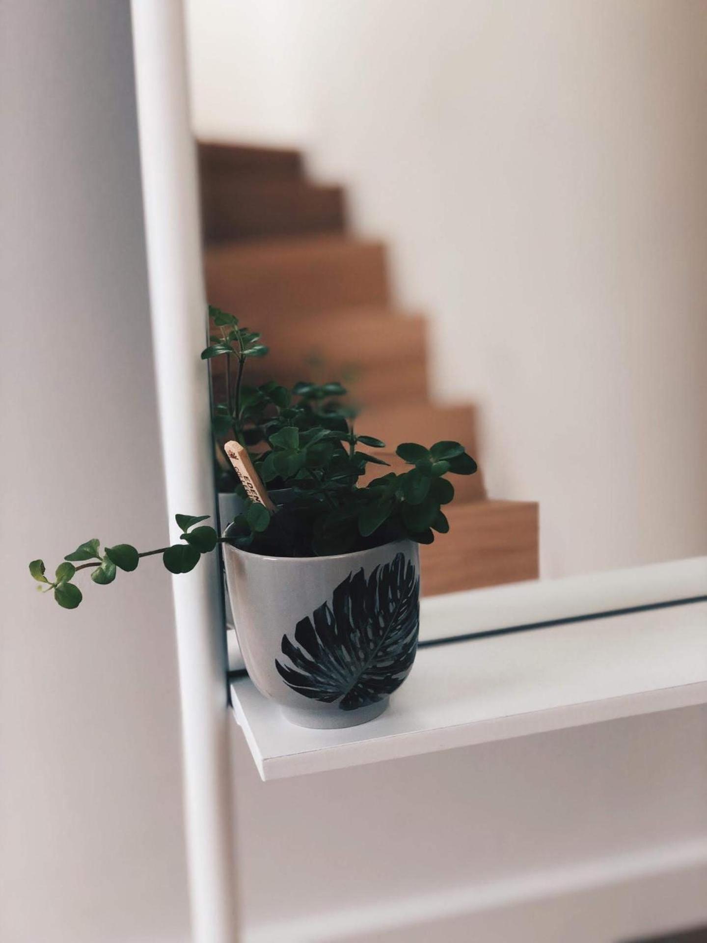 Penthouse La Naturale Zeezicht Brugge Dış mekan fotoğraf